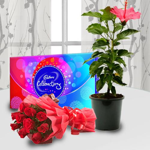 Combos Of Flowers, Chocolate and Plants