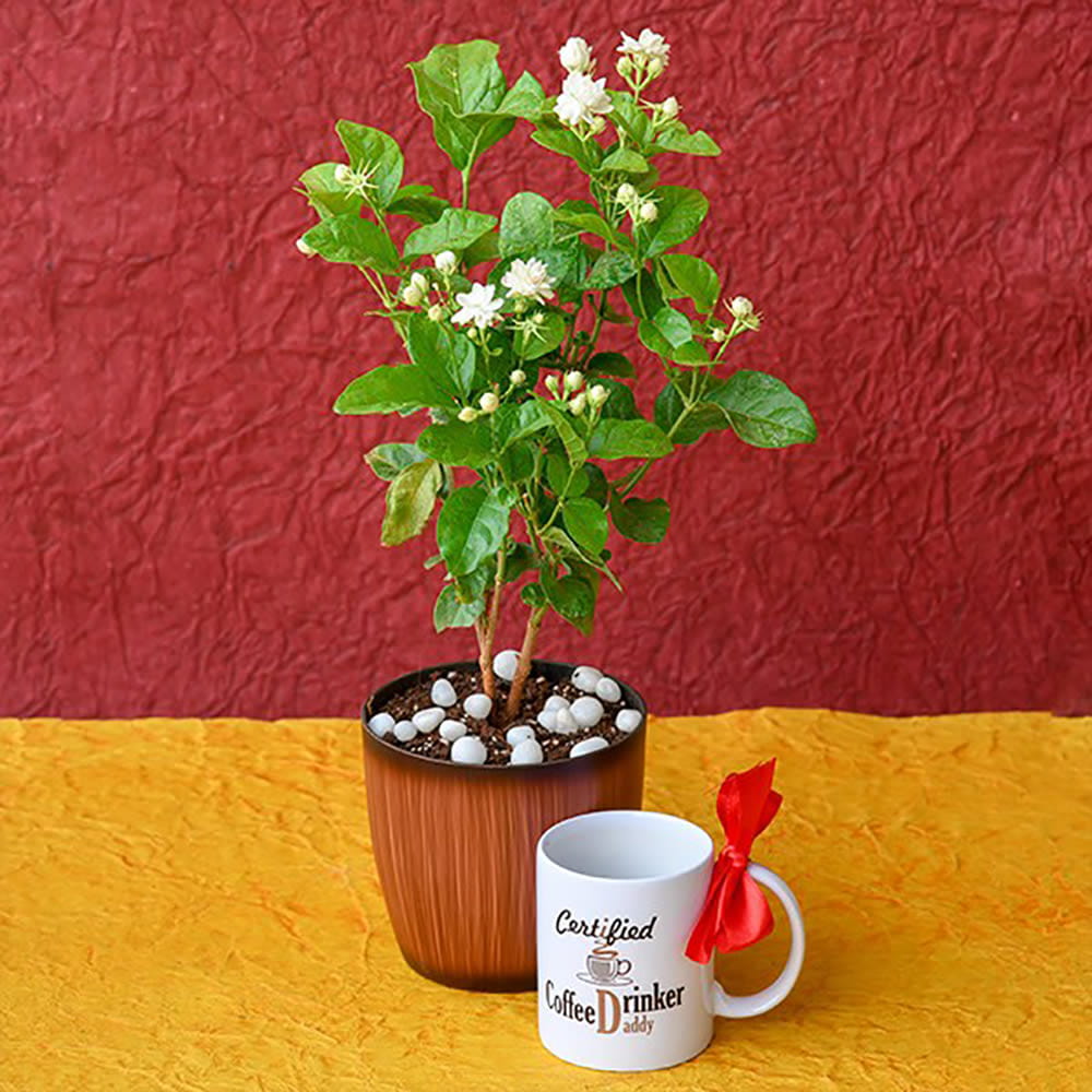 coffee Mug with jasmine Plant