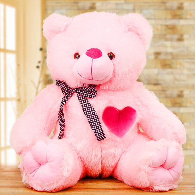 Lovely Soft Teddy