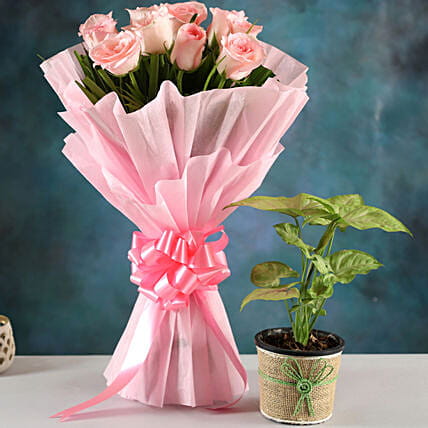 Pink Roses bouquet & Syngonium Plant