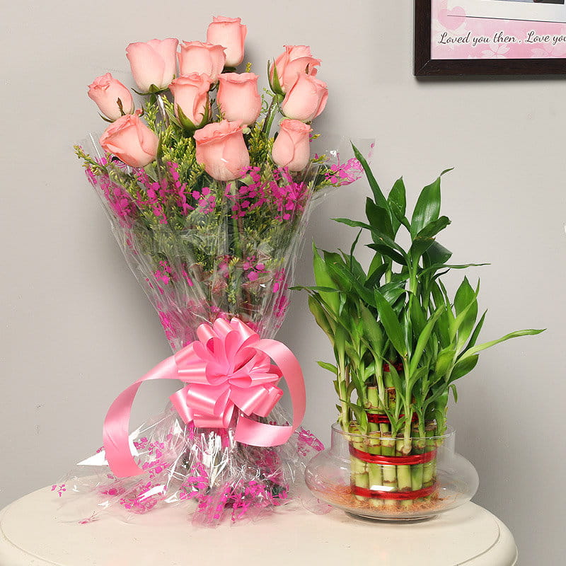 pink roses and Lucky bamboo