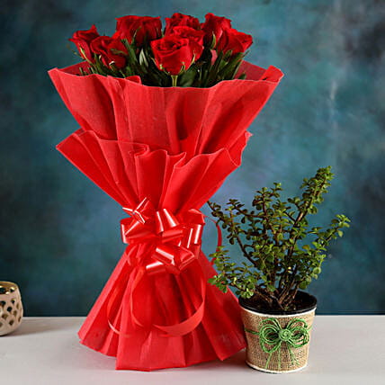 Jade Plant & Red Rose Bouquet
