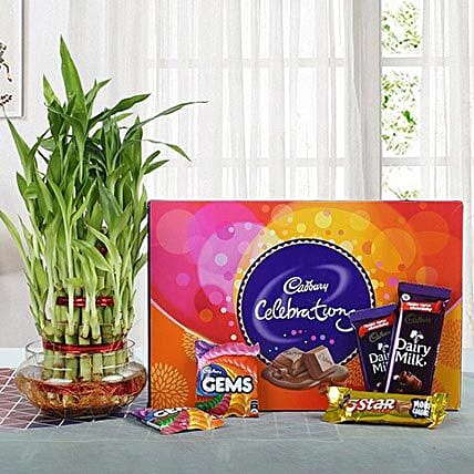 Three Layer Bamboo Plant N Chocolates